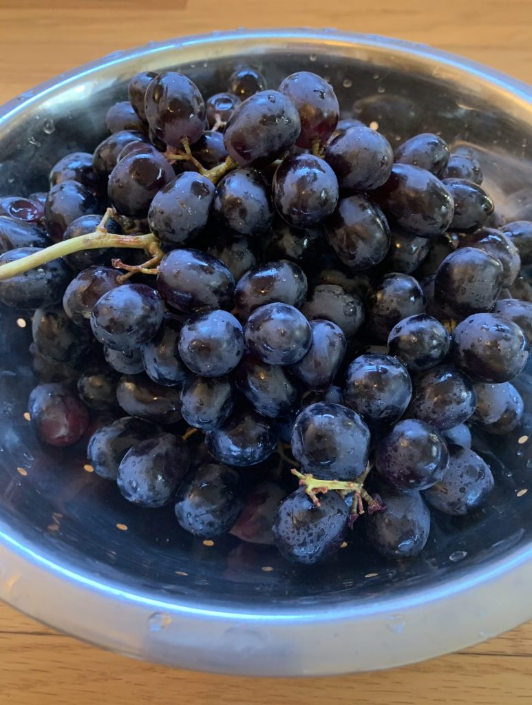 Bowl of purple grapes