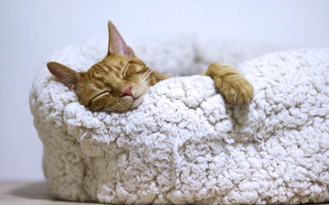 Five Ways to Release Racing Thoughts and Sleep Better