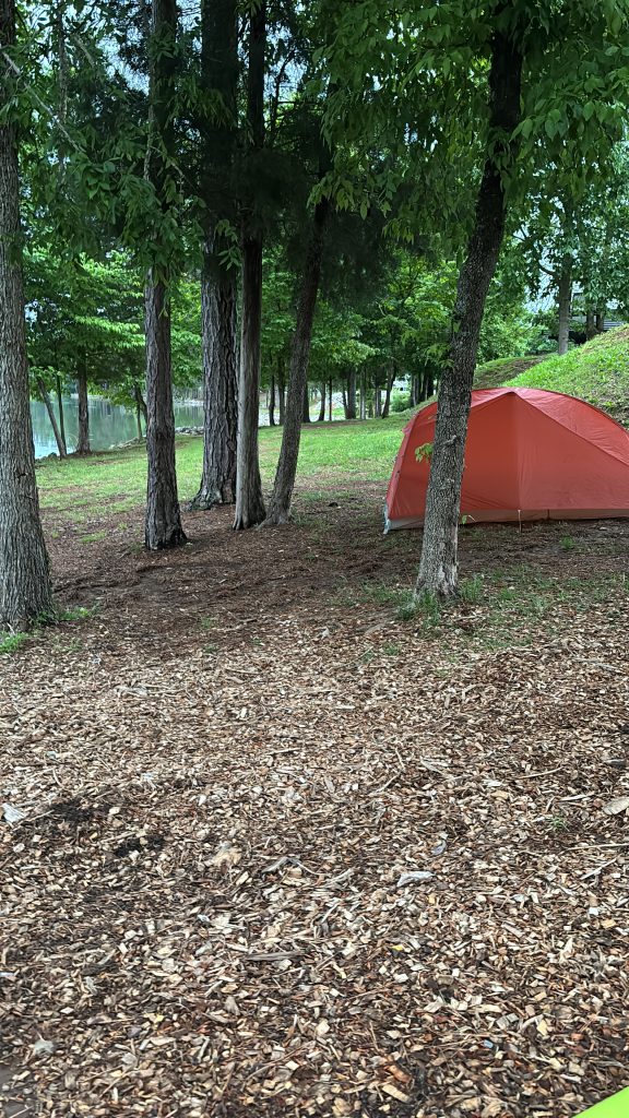 Single tent among trees
